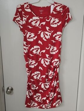 Isabel Maternity by Ingrid & Isabel Red and White Floral Midi Dress